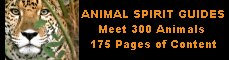 http://animalspirits.com